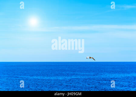 Möwen fliegen über das Meer an einem sonnigen Tag. Sardinien, Italien Stockfoto