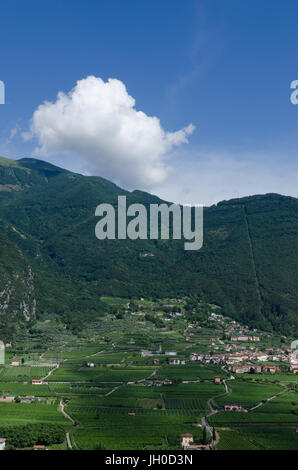 Blick von der Burg über der Stadt von Arco, nahe dem nördlichen Ufer des Gardasee, Italien Stockfoto