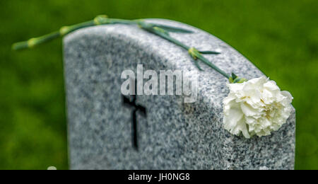 Amerikanische Flagge und Blue Rose auf einem Veteranen Grabstein auf einem amerikanischen National Cemetery. Stockfoto