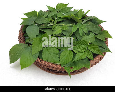 Himbeerblaetter, Rubus, Idaeus, Himbeerblatt Stockfoto