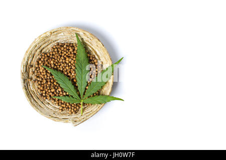 Cannabis-Samen in einer Schüssel isoliert auf weiss Stockfoto