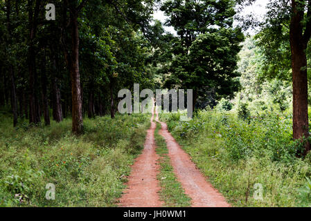 Der Weg in Nagarhole Nationalpark Karnataka, Indien Stockfoto