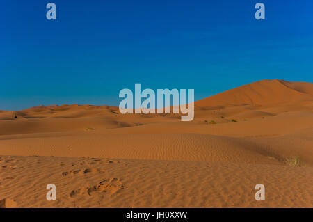 Kamel-Karawane in Erg Chebbi Wüste, Sahara Wüste in der Nähe von Merzouga, Marokko Stockfoto