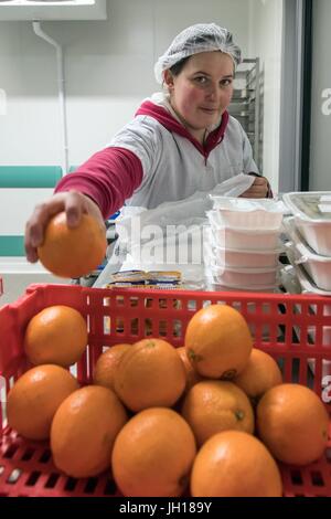 ADMR, HAUSHALTSHILFE, LEBENDEN HILFE IN LÄNDLICHEN GEBIETEN, NOGENT-LE-ROI,(28)-EURE-ET-LOIR, FRANKREICH Stockfoto