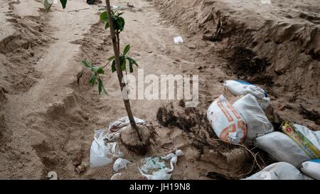 Strand Sediment Erosion Hazardfrom Monsun Pattaya Chonburi Thailand Golf von Thailand Juli 2017 Stockfoto