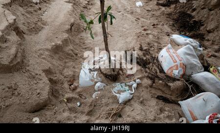 Strand Sediment Erosion Hazardfrom Monsun Pattaya Chonburi Thailand Golf von Thailand Juli 2017 Stockfoto