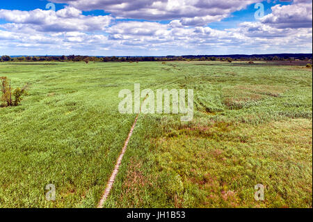 Ein Blick auf ein Sumpfgebiet im Sommer - malerischen Park Przemkow, Polen Stockfoto