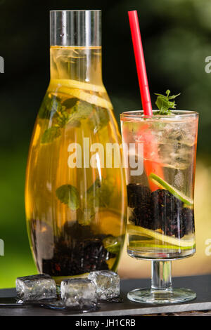 Hausgemachte Eis Grüntee mit Brombeeren, Zitrone, Limette und Kräutern Stockfoto