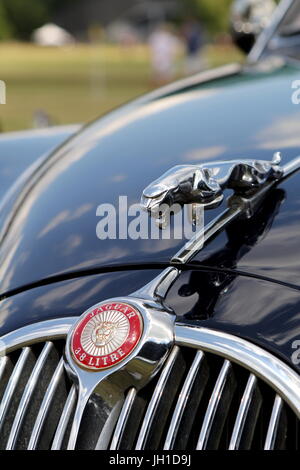 Abzeichen und "Springende Katze" Motorhaube Maskottchen ein Jaguar MK 2 3,8 Liter Stockfoto