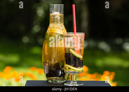 Hausgemachte Eis Grüntee mit Brombeeren, Zitrone, Limette und Kräutern Stockfoto