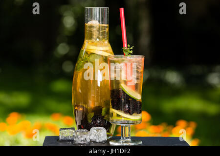 Hausgemachte Eis Grüntee mit Brombeeren, Zitrone, Limette und Kräutern Stockfoto