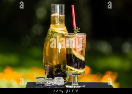 Hausgemachte Eis Grüntee mit Brombeeren, Zitrone, Limette und Kräutern Stockfoto