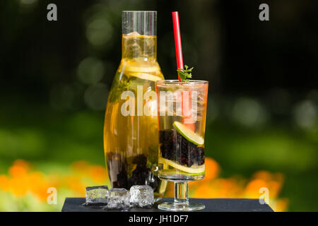 Hausgemachte Eis Grüntee mit Brombeeren, Zitrone, Limette und Kräutern Stockfoto