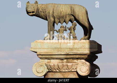 Der Kapitolinischen Wolf mit Romulus und Remus Stockfoto
