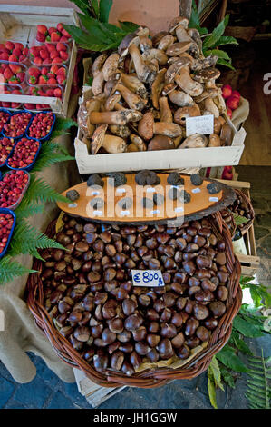 Kastanien, Trüffel, Steinpilze und Erdbeeren zum Verkauf in Nemi Dorf, Latium, Italien Stockfoto