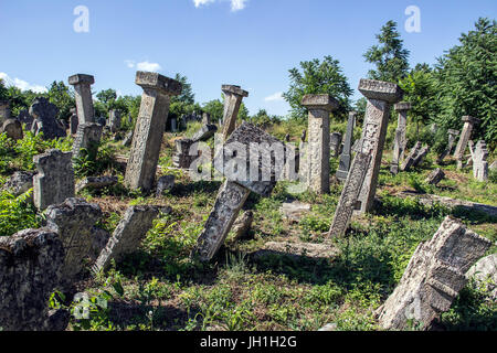 Ost-Serbien - Grabsteine auf dem Friedhof alte Bogomil Stockfoto