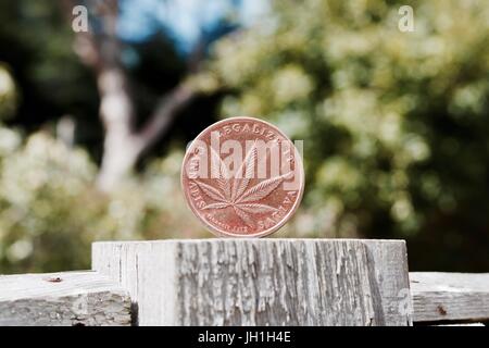 Cannabis aus Messing Leaf Münze auf dem hölzernen Zaun im Garten. Stockfoto