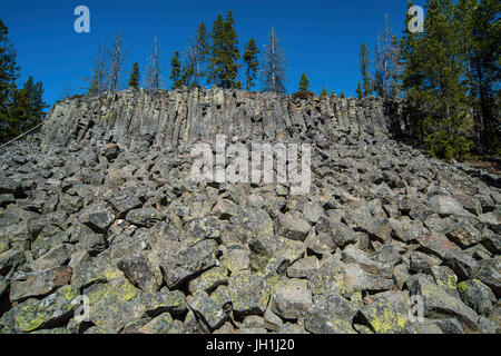 Sheepeater Klippe, Yellowstone-Nationalpark, Wyoming, USA von Bruce Montagne Stockfoto