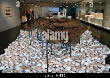 MusŽe d ' Histoire De La Ville de Marseille, Marseille Stadt historisches Museum.  Römischen Schiffswracks. Frankreich. Stockfoto