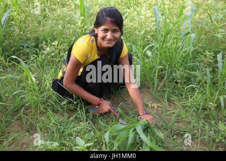 Junge Dorf Frau in der Nähe von Goverdan, Uttar Pradesh. Indien. Stockfoto