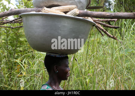Frau, die die Platte mit Mais auf Kopf. Togo. Stockfoto