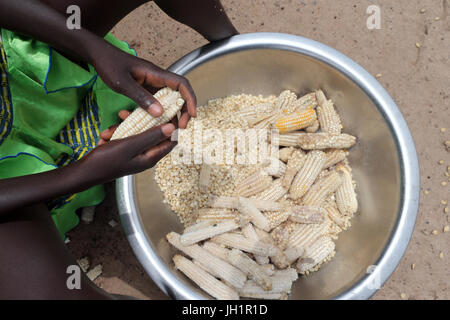 Afrika. Landarbeiter. Hände Mais Dreschen. Togo. Stockfoto