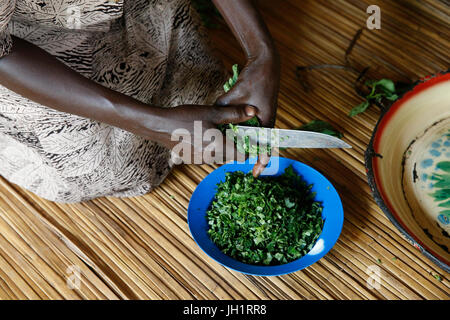 Mahlzeit zubereitet von einer Gruppe von Mitgliedern der Uganda Kolping Society. Die Gruppe (10 Frauen & 5 Männer) ist ein catering-Unternehmen finanziert ein UGS Loa 2,5 Millionen Stockfoto