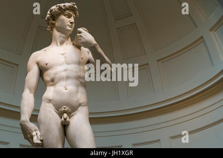 Marmor Skulptur des David von Michelangelo, 1501-1504, Accademia Galerie, Florenz, Toskana, Italien, Europa Stockfoto