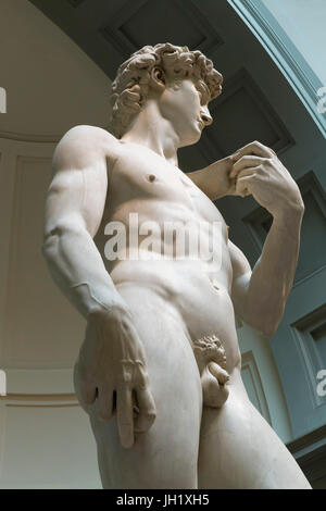 Marmor Skulptur des David von Michelangelo, 1501-1504, Accademia Galerie, Florenz, Toskana, Italien, Europa Stockfoto