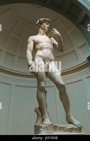 Marmor Skulptur des David von Michelangelo, 1501-1504, Accademia Galerie, Florenz, Toskana, Italien, Europa Stockfoto