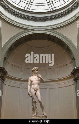 Marmor Skulptur des David von Michelangelo, 1501-1504, Accademia Galerie, Florenz, Toskana, Italien, Europa Stockfoto