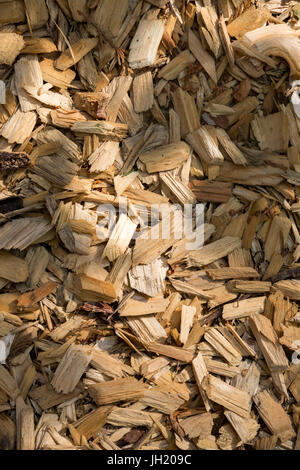 Hackschnitzel Textur mit Schatten von einem Zweig mit Blättern. Stockfoto