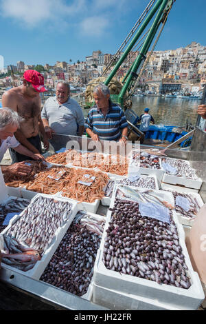 Entladen frisch Fisch verkauft am Kai im Hafen Sciacca in Southerm Sizilien, Italien. Stockfoto