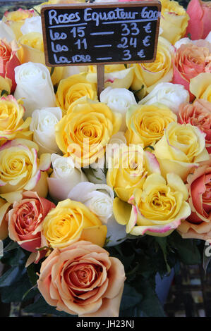 Rosensträuße zum Verkauf in einen Blumenladen. Frankreich. Stockfoto