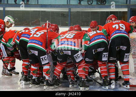 Eishockey-Spiel.  Hockey-Team.  Frankreich. Stockfoto