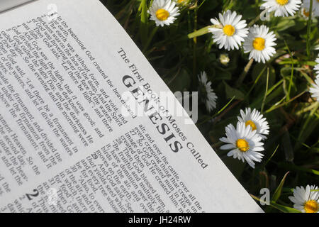 Aufgeschlagene Bibel. Genese. Stockfoto