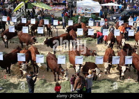 Die Landwirtschaft Messe (Comice Agricole) von Saint-Gervais-Les-Bains. Frankreich. Stockfoto