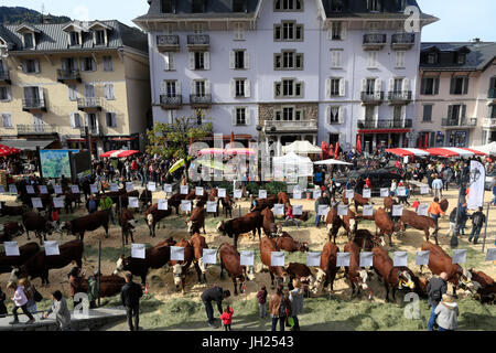 Die Landwirtschaft Messe (Comice Agricole) von Saint-Gervais-Les-Bains. Frankreich. Stockfoto