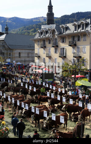 Die Landwirtschaft Messe (Comice Agricole) von Saint-Gervais-Les-Bains. Frankreich. Stockfoto
