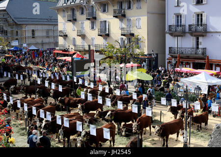 Die Landwirtschaft Messe (Comice Agricole) von Saint-Gervais-Les-Bains. Frankreich. Stockfoto