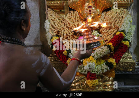 Sri Veeramakaliamman Hindu-Tempel.  Dakshinamurthy. Hinduistischen Brahmanen Priester mit einem Arthi (beleuchtete Kampfer) Morgen Puja-Zeremonie durchführen.  Singapur Stockfoto