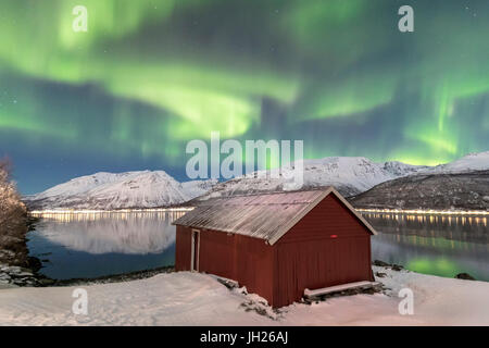 Das Nordlicht spiegelt sich in der eisigen Meer Rahmen eine typische Rorbu, Manndalen, Kafjord, Lyngen Alpen, Troms, Norwegen Stockfoto