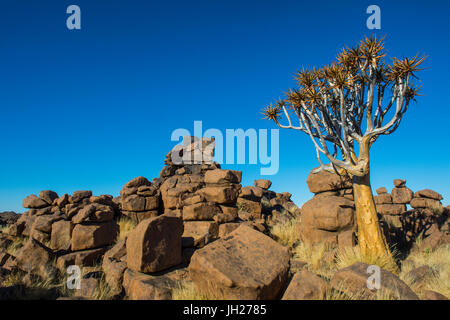 Ungewöhnliche rock-Formationen, Riesen Spielplatz, Keetmanshoop, Namibia, Afrika Stockfoto