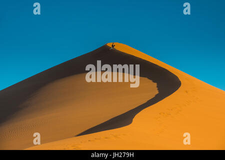 Frau, Wandern auf den riesigen Sanddüne 45, Sossusvlei, Namib-Naukluft-Nationalpark, Namibia, Afrika Stockfoto