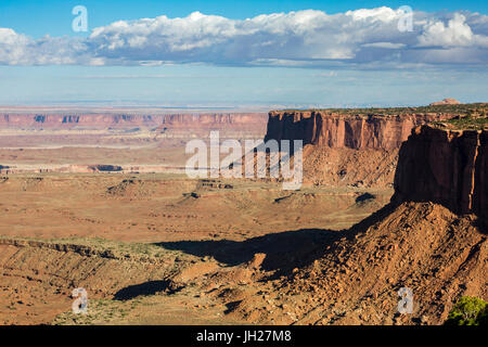 Felsformationen im Canyonlands National Park, Moab, Utah, Vereinigte Staaten von Amerika, Nordamerika Stockfoto