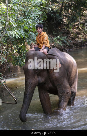 Mahoot Reiten Elefant, Elephant Sanctuary, Mondulkiri, Kambodscha, Indochina, Südostasien, Asien Stockfoto