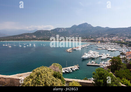 Blick auf den Hafen in der Bucht, umgeben vom türkisfarbenen Meer, Calvi, Balagne Region, Nordwest-Korsika, Frankreich, mediterran Stockfoto