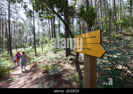 Wanderer in den Wäldern des Naturparks des Berges L'Ospedale Piscia Di Gallo, Zonza, Korsika, Südfrankreich, Europa Stockfoto