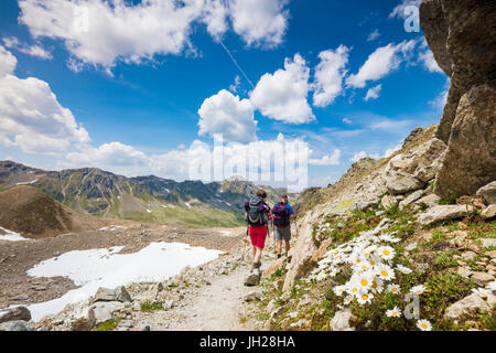 Wanderer, umgeben von felsigen Gipfeln und blühenden Gänseblümchen, Joriseen, Jorifless Pass, Kanton Graubünden, Engadin, Schweiz Stockfoto