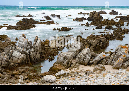 Felsen und Bucht an der Südspitze von Afrika, Kap Agulhas, Western Cape, Südafrika, Afrika Stockfoto